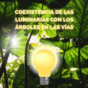 Lee más sobre el artículo RETILAP C5 S510.7 – Coexistencia de las luminarias con los árboles en las vías