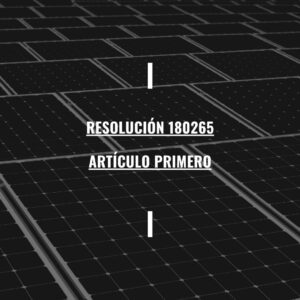 Lee más sobre el artículo Resolución 180265 del 19 de febrero de 2010 Artículo primero